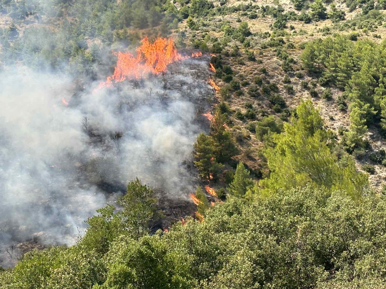 Φωτιά στην Πάρνηθα: Αναζωπύρωση στην Χασιά, κοντά στη Μονή Κλειστών