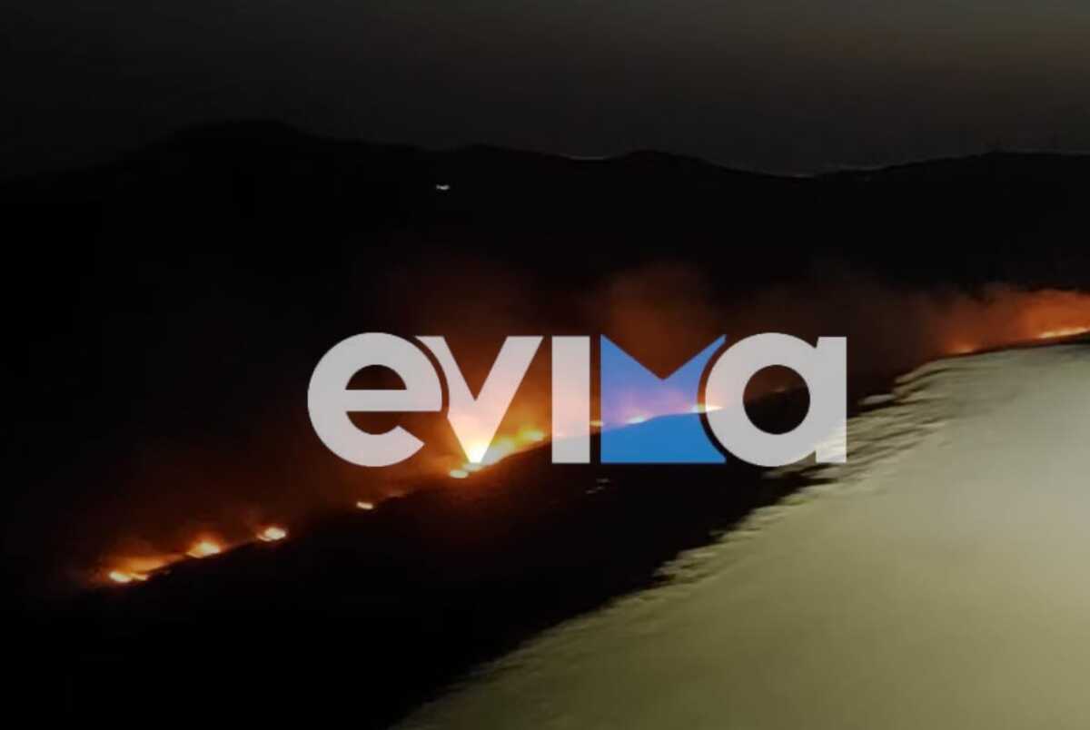Φωτιά στην Εύβοια – Καίει δάσος με πεύκα
