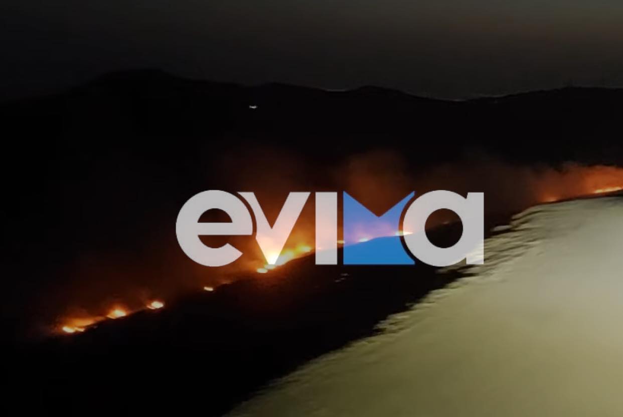 Φωτιά στην Εύβοια – Καίει δάσος με πεύκα
