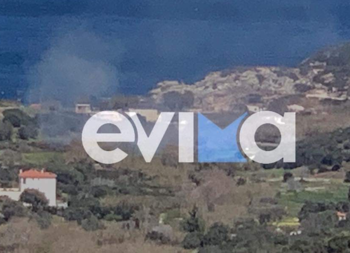 Φωτιά στην Εύβοια – Ισχυρές δυνάμεις στο σημείο