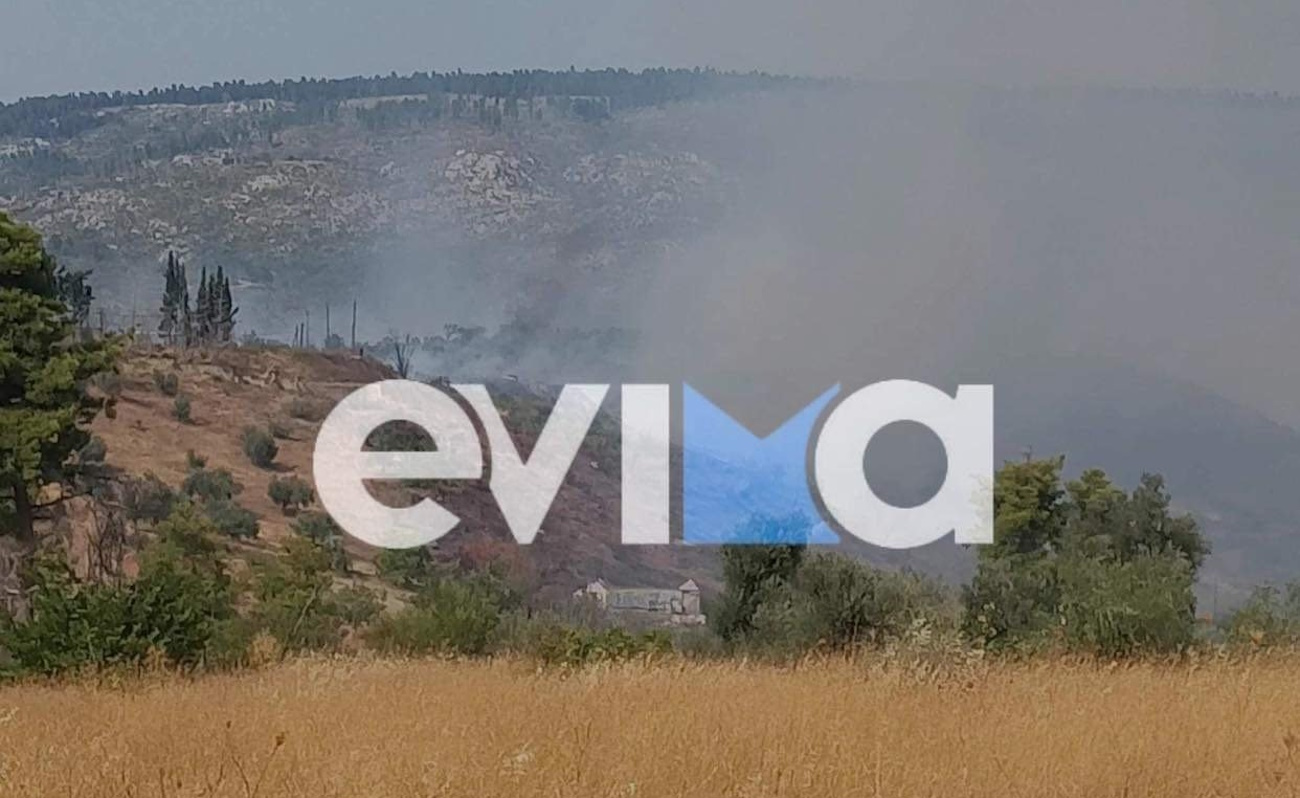 Φωτιά στην Εύβοια – Εκκενώνεται το Κοντοδεσπότι