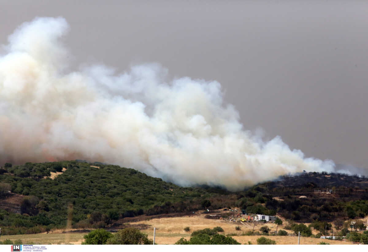 Φωτιά στον Έβρο: Λεπτοκαρυά – Δαδιά και Τρεις Βρύσες τα ενεργά μέτωπα