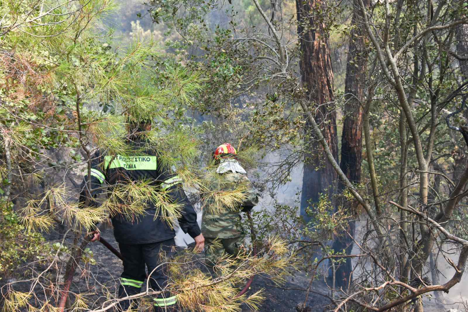 Έβρος: Εξαντλημένος πυροσβέστης ξάπλωσε πάνω στη μάνικα για να ξεκουραστεί