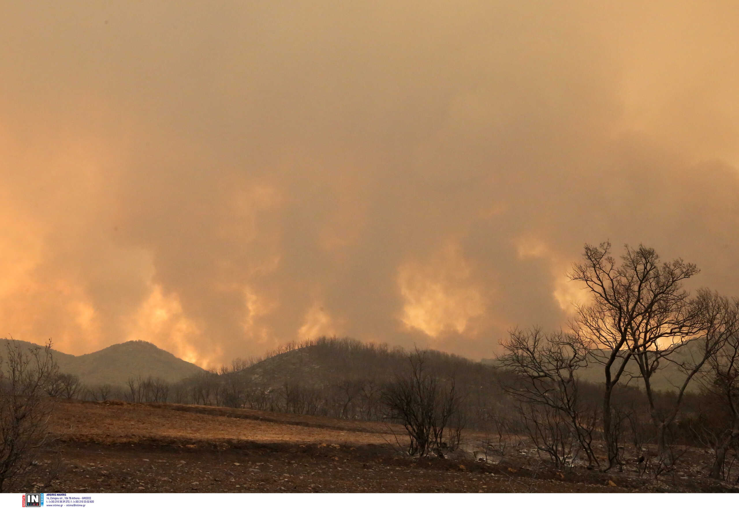 Φωτιά στον Έβρο: Στο Σουφλί το μεγαλύτερο μέτωπο, αλλάζει συνεχώς η ένταση της πυρκαγιάς