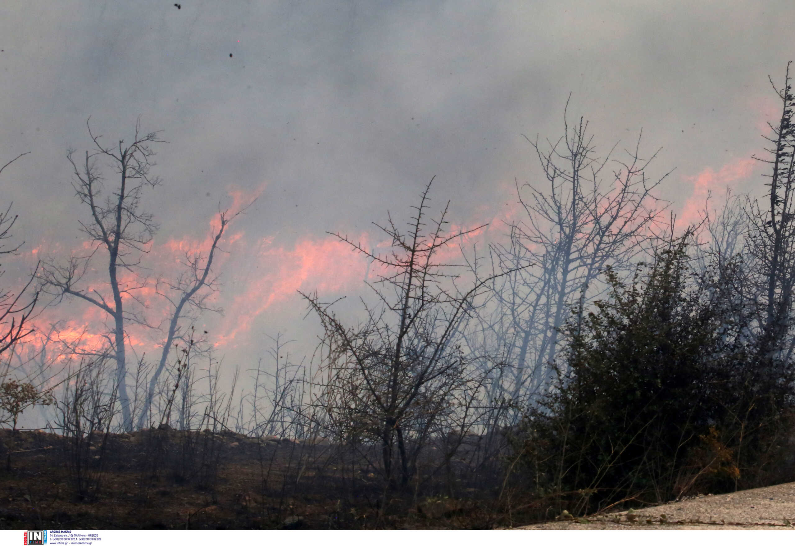 Φωτιά στον Έβρο: «Έρχεται» το evros pass – «Για να στρέψουμε την τουριστική κίνηση στην περιοχή», δήλωσε ο Μητσοτάκης