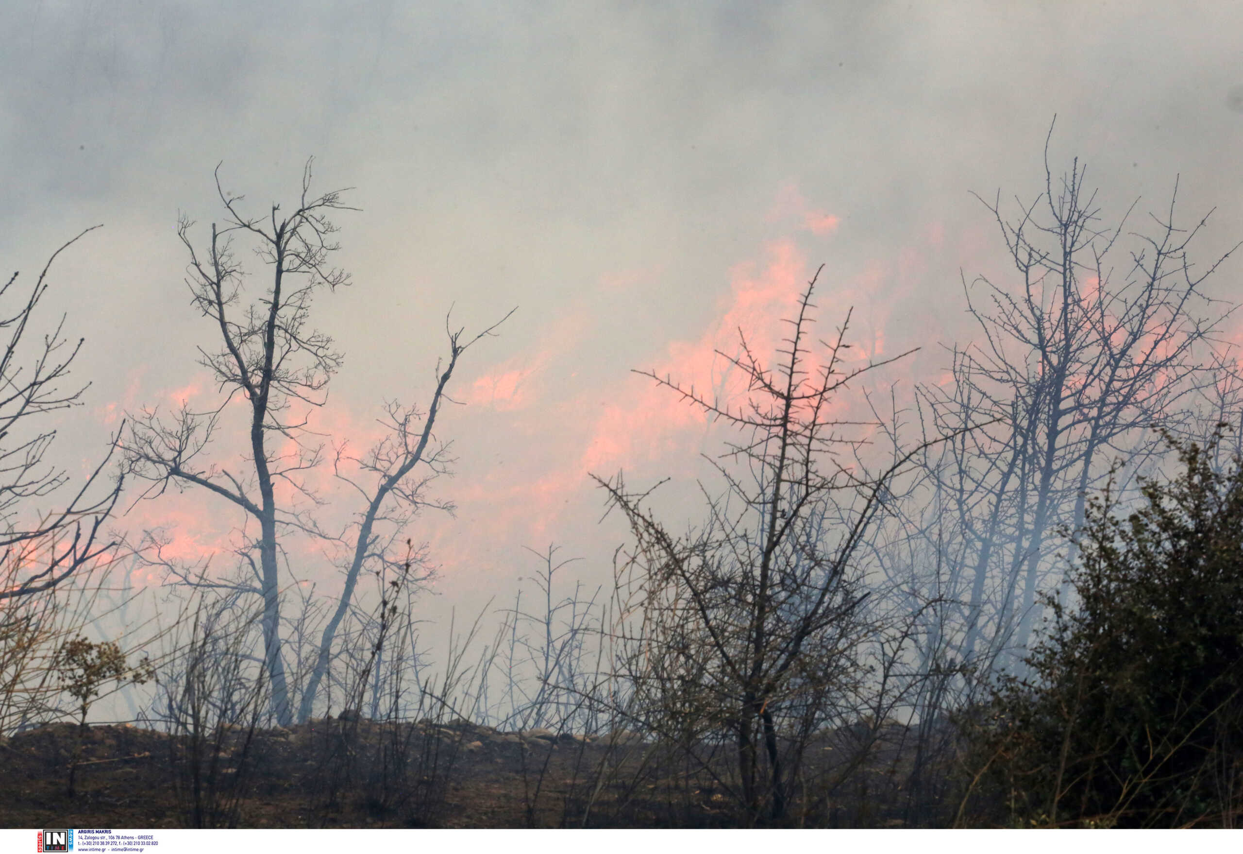 Φωτιά στον Έβρο: Εκκενώνονται Σιδηρώ και Γιαννούλη – Νέα μηνύματα από το 112