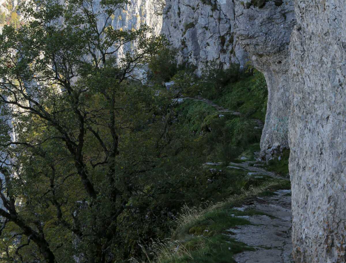 Κλειστό και το Σάββατο το φαράγγι της Σαμαριάς