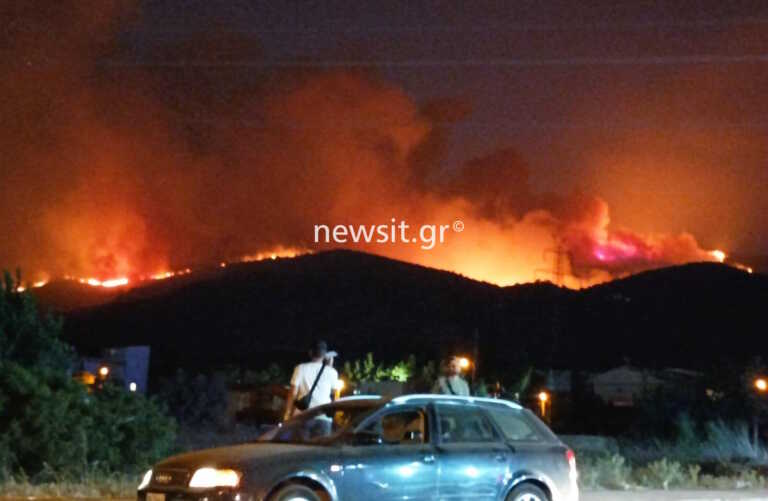 Ανεξέλεγκτη η φωτιά στη Φυλή! Οι φλόγες ανεβαίνουν την πλαγιά της Πάρνηθας - Απομακρύνθηκαν λεωφορεία φυσικού αερίου από τα Άνω Λιόσια
