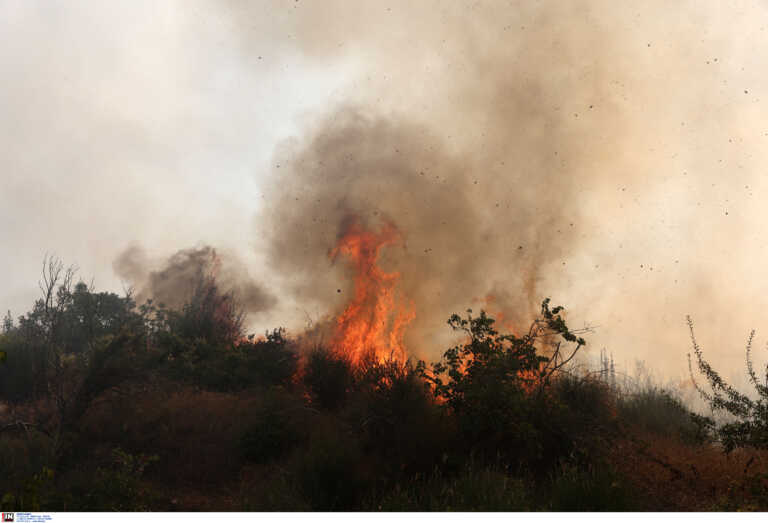 Υψηλός ο κίνδυνος φωτιάς στη Χαλκιδική – Οι απαγορεύσεις για την αποφυγή εκδήλωσης πυρκαγιάς