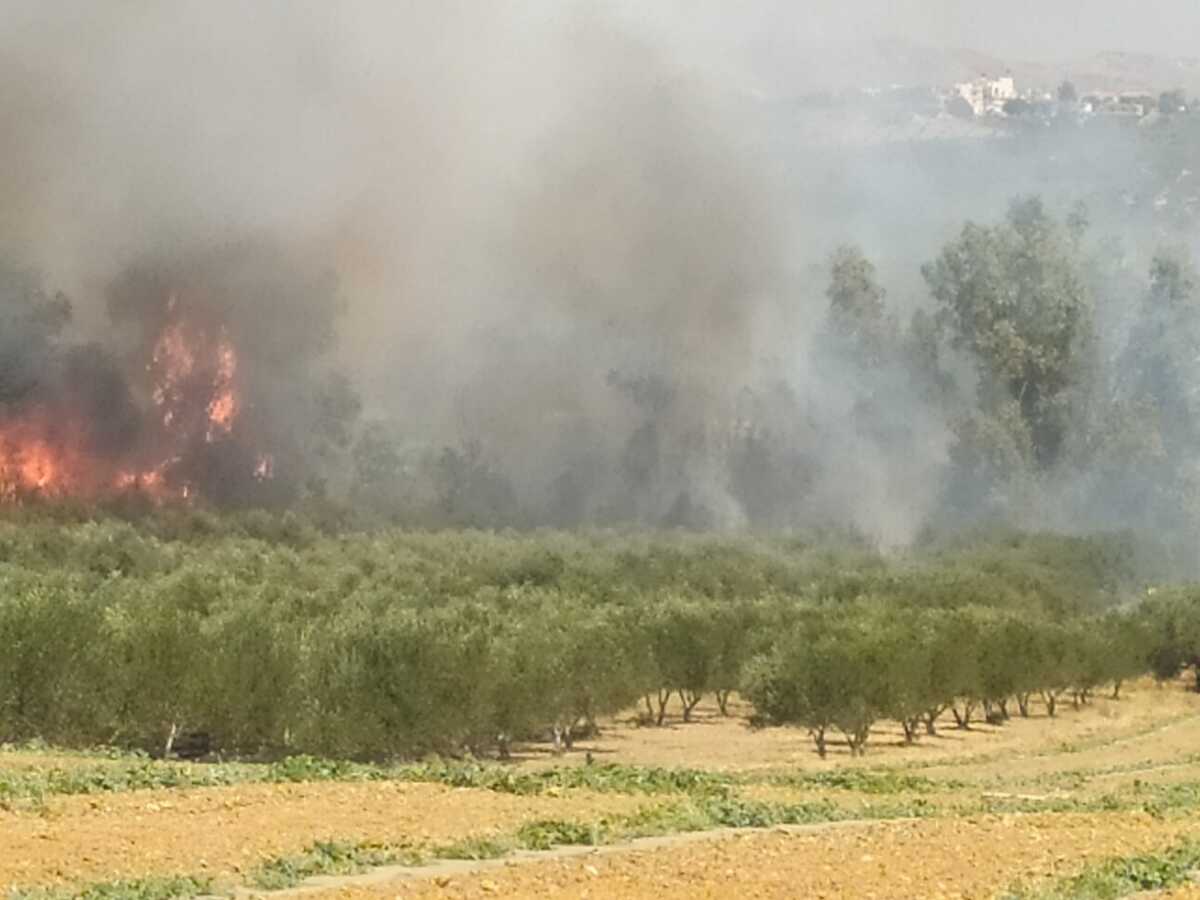 Μεγάλη φωτιά στο Ηράκλειο ανάμεσα σε Βενεράτο και Κυπαρίσσι