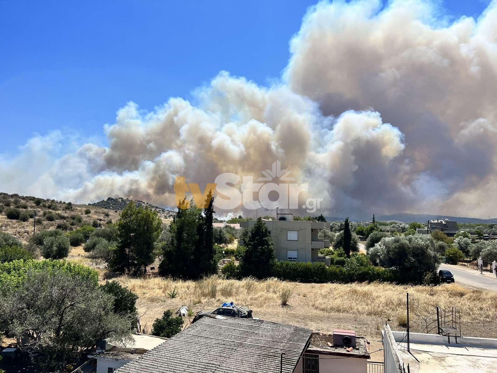 Φωτιά στα Ψαχνά Ευβοίας: Προς Βατώνα το πύρινο μέτωπο – Σε ετοιμότητα Λιμενικό και ιδιωτικά σκάφη