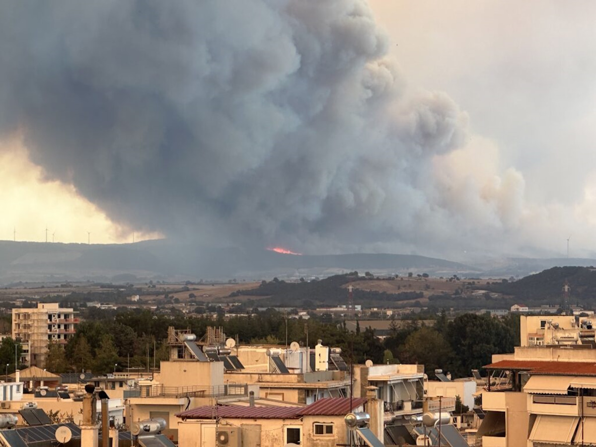 Φωτιά στην Αλεξανδρούπολη: Κυβερνητικό κλιμάκιο μεταβαίνει στην περιοχή