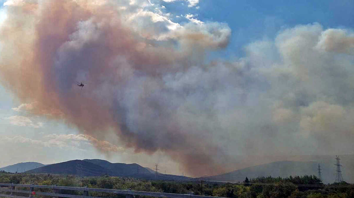 Φωτιά στη Βοιωτία: Παραδόθηκε στις φλόγες το παραλιακό μέτωπο – Μεγάλη μάχη με τις αναζωπυρώσεις