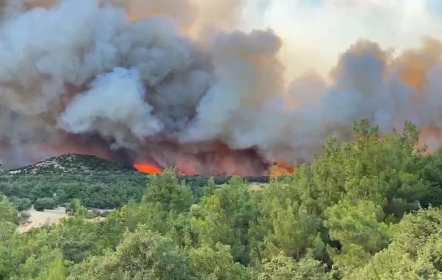 Φωτιά στο Λαύριο – Μεγάλη κινητοποίηση της πυροσβεστικής