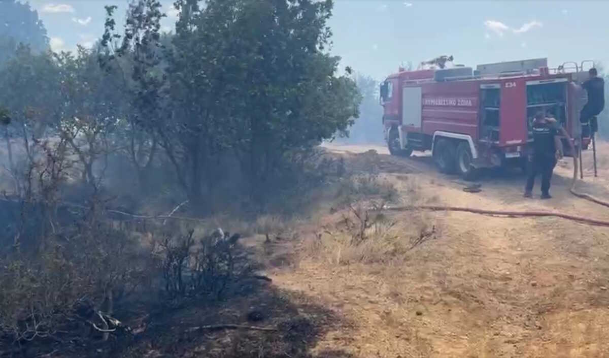 Φωτιά στη Λακωνία – Καίει στο χωριό Λάγιο