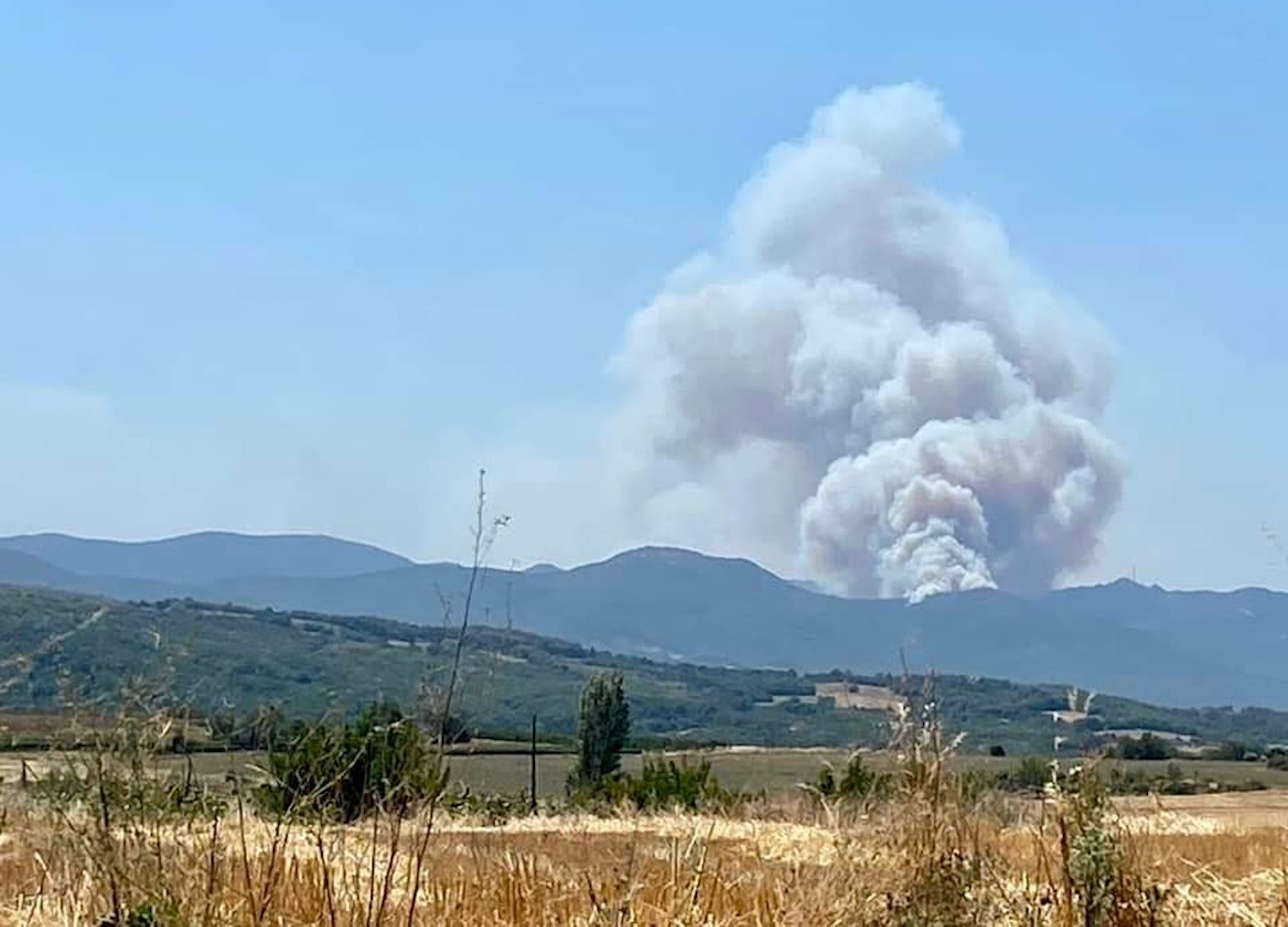 Φωτιά στην Αλεξανδρούπολη: Νέο μέτωπο ξέσπασε στο δάσος της Δαδιάς