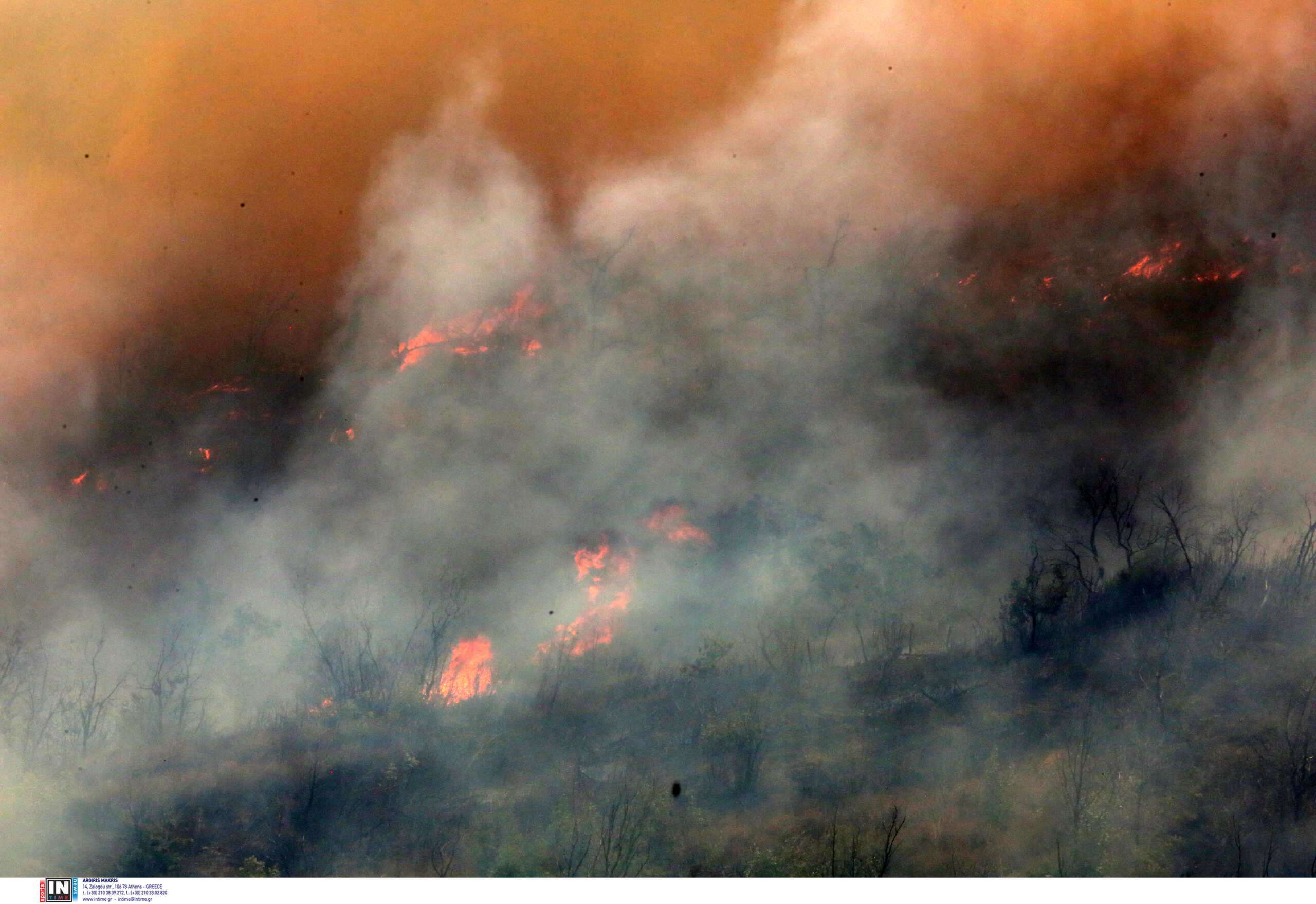 Φωτιά στον Έβρο: Μήνυμα του 112 για εκκένωση της περιοχής Αύρα και απομάκρυνση προς Κομοτηνή