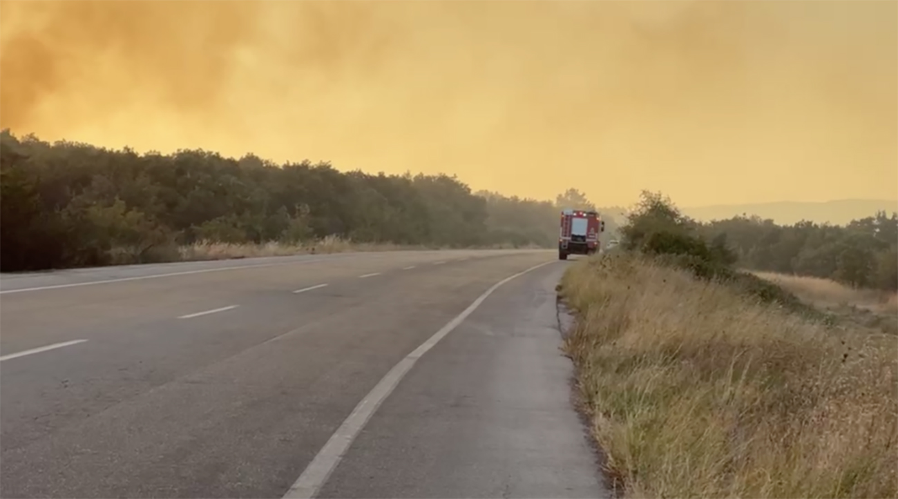 Φωτιές σε Αλεξανδρούπολη, Βοιωτία, Εύβοια και Ροδόπη – Συναγερμός στην κυβέρνηση – Ρουμανία και Κύπρος έστειλαν ενισχύσεις