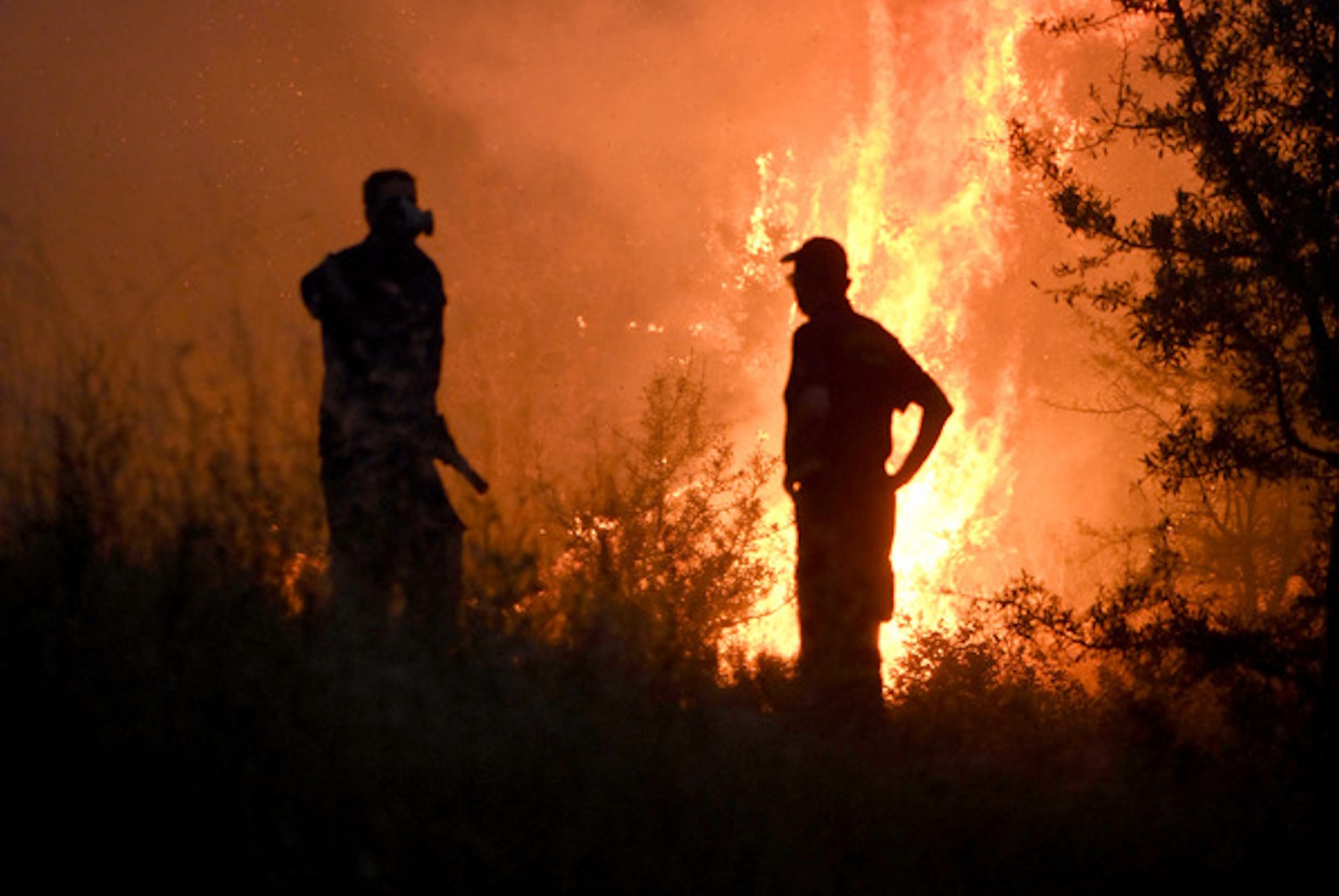 Φωτιά στον Έβρο: Ξεκινούν τη Δευτέρα οι αιτήσεις για τους πυρόπληκτους στην Αλεξανδρούπολη – Διευρκρινίσεις για τις αγροτικές εκτάσεις