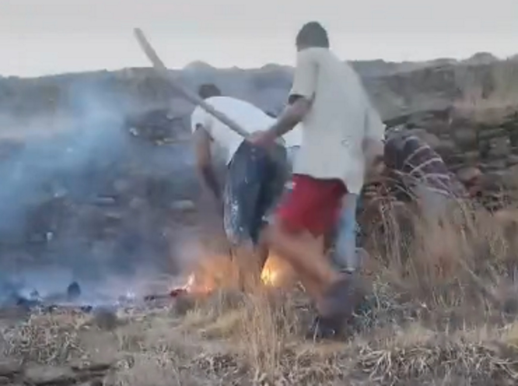 Φωτιά στην Κύθνο: Η στιγμή που κάτοικοι προσπαθούν με φτυάρια να σώσουν τις περιουσίες τους