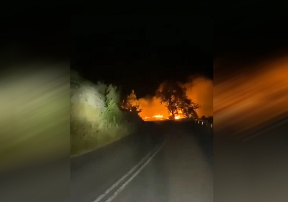 Κοζάνη: «Λαμπάδιασε» αυτοκίνητο – Φωτιά στα διπλανά δέντρα