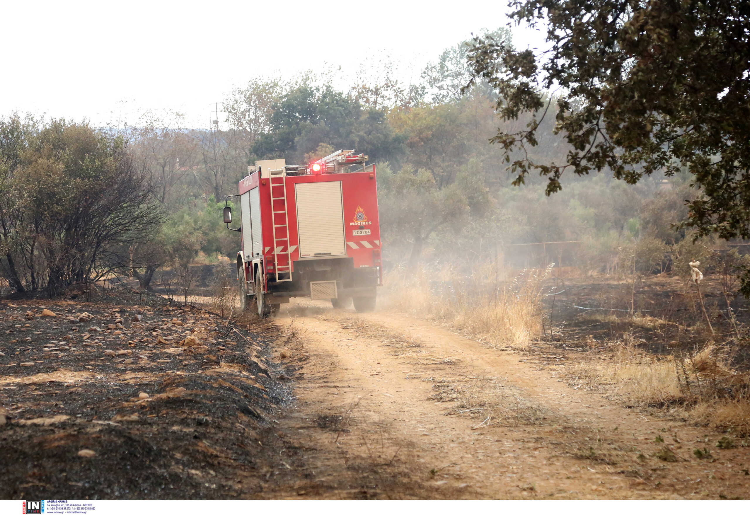 Φωτιά στη Μακραμώμη: Κάηκαν ζώα, καταστράφηκαν περιουσίες – Υπό έλεγχο το μέτωπο, φόβοι για αναζωπυρώσεις