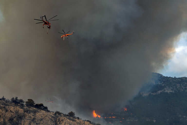 Πάνω από 1.200.000 στρέμματα κάηκαν έως 23 Αυγούστου - Τρεις φορές περισσότερα από το 2006