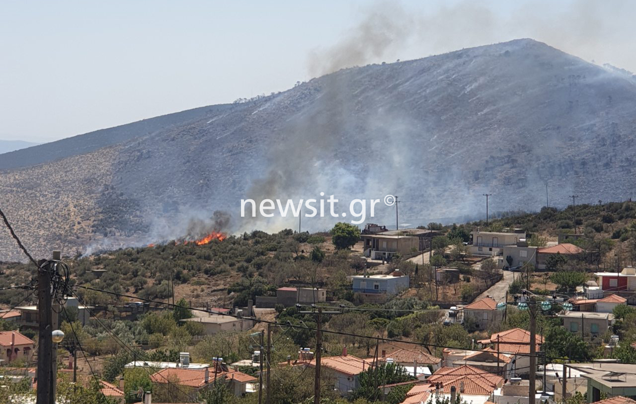 Φωτιά στη Βοιωτία: Απεγκλωβίστηκαν 60 ατόμα με δύο σκάφη από την παραλία Σαράντη