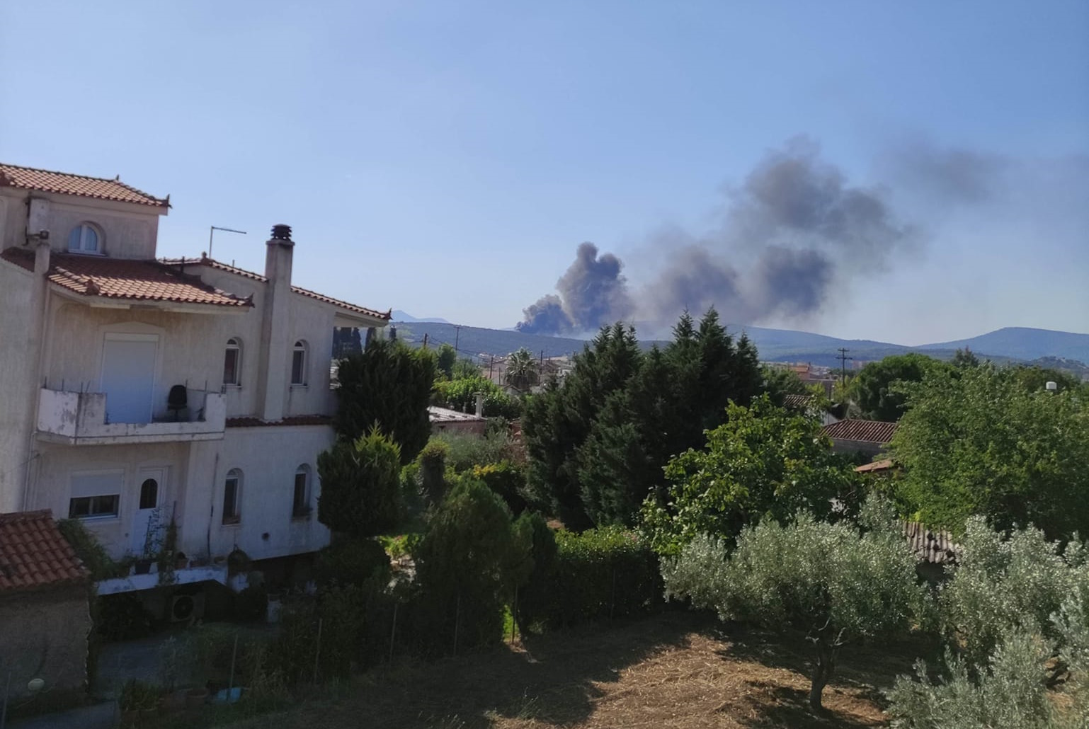 Φωτιά στην Εύβοια – Καίγεται περιοχή στα Ψαχνά