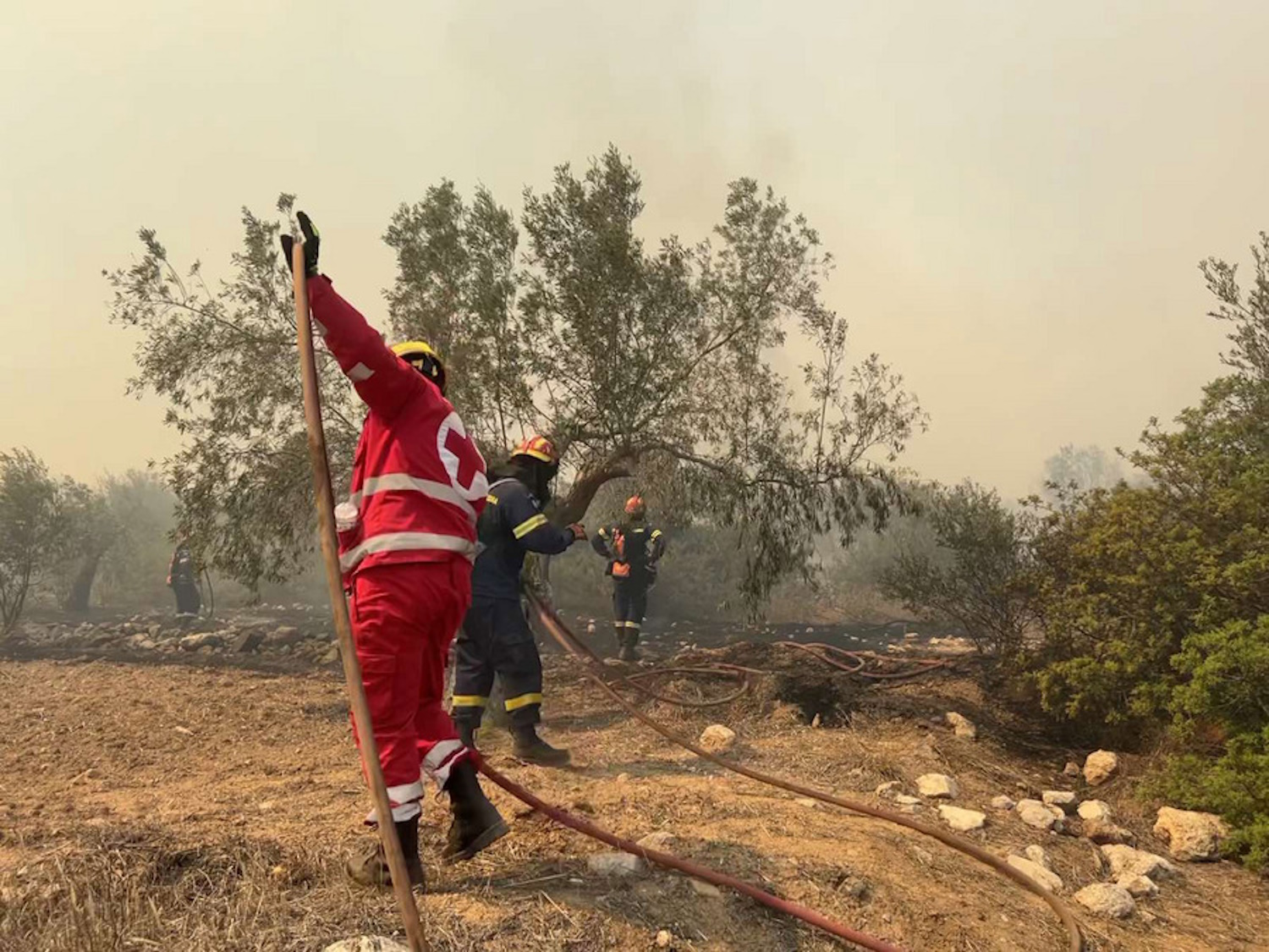 Συνελήφθη 43χρονος στο Ζεφύρι για εμπρησμό