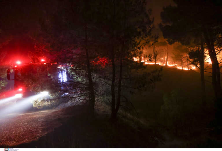 Δύσκολη νύχτα στη Βοιωτία - Οι φλόγες πολιορκούν το Στείρι - Εκκεκώνονται οικισμοί