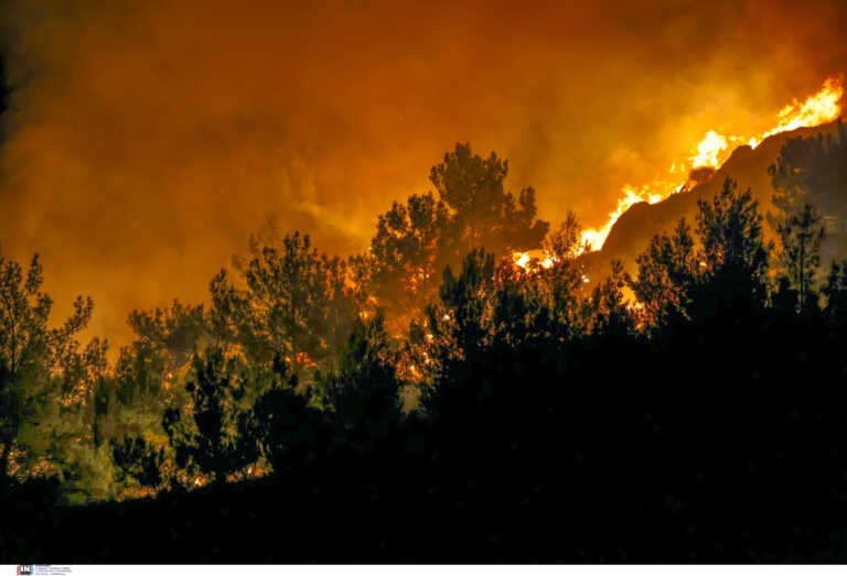 Δύσκολη νύχτα στη Ροδόπη λόγω της μεγάλης φωτιάς - Πυρκαγιά και στη Μάνη στην περιοχή Πάλιρος