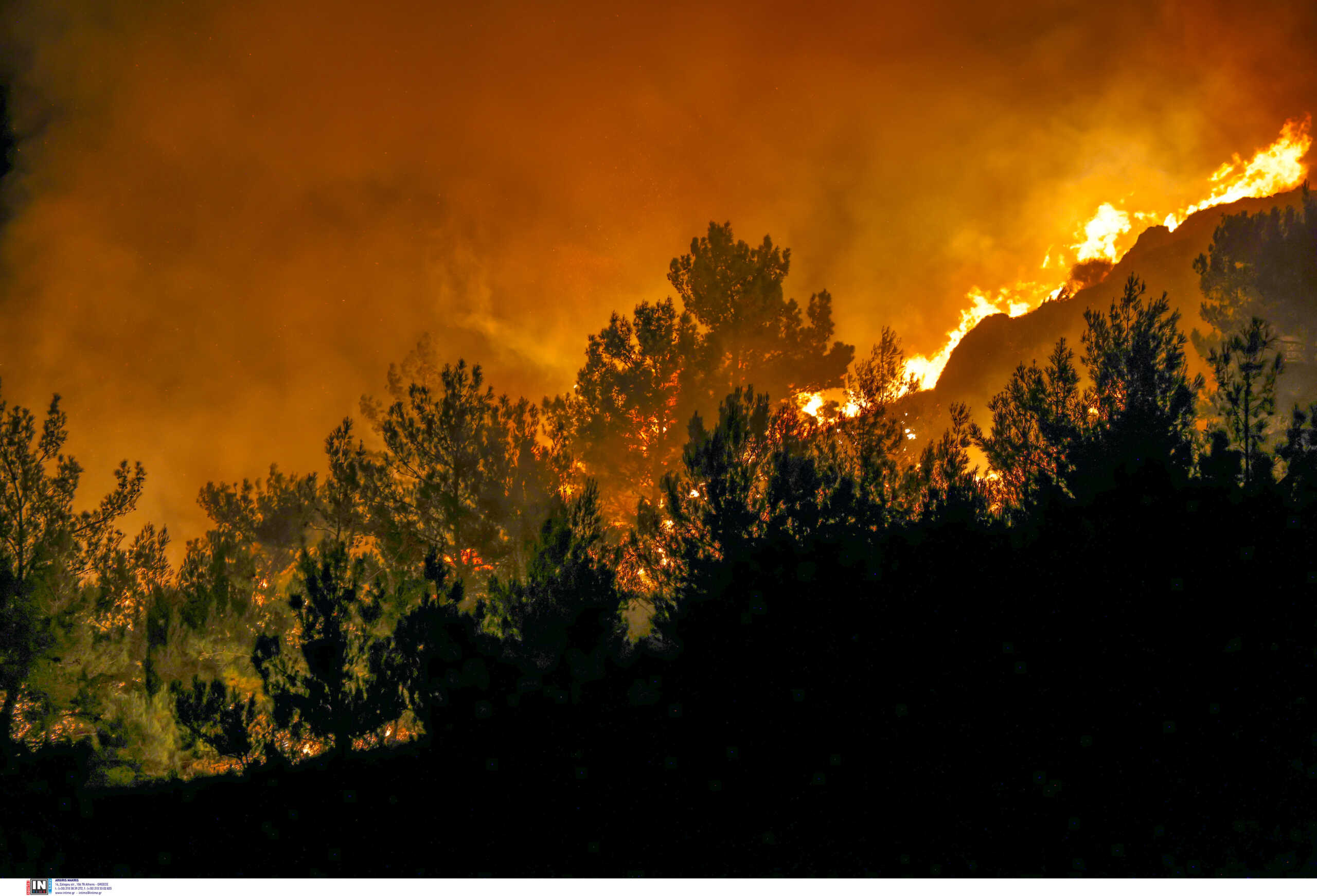 Η φωτιά στη Ροδόπη δυσκολεύει τους πυροσβέστες – Μάχη με τις φλόγες σε δύσβατη περιοχή