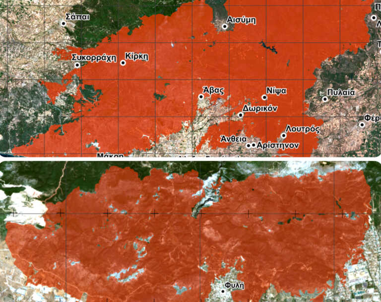 Νέες αποκαρδιωτικές καταστροφής από τις φωτιές σε Έβρο και Πάρνηθα - Σχεδόν 900.000 τα καμένα στρέμματα