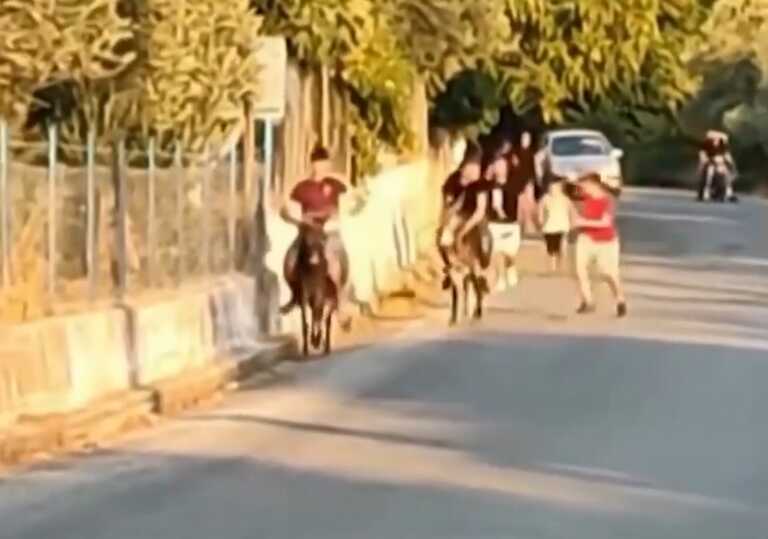 Σάλος με παιδιά να μαστιγώνουν γαϊδούρια σε αυτοσχέδιους αγώνες στη Λέσβο - Οι εικόνες ντροπής σε βίντεο