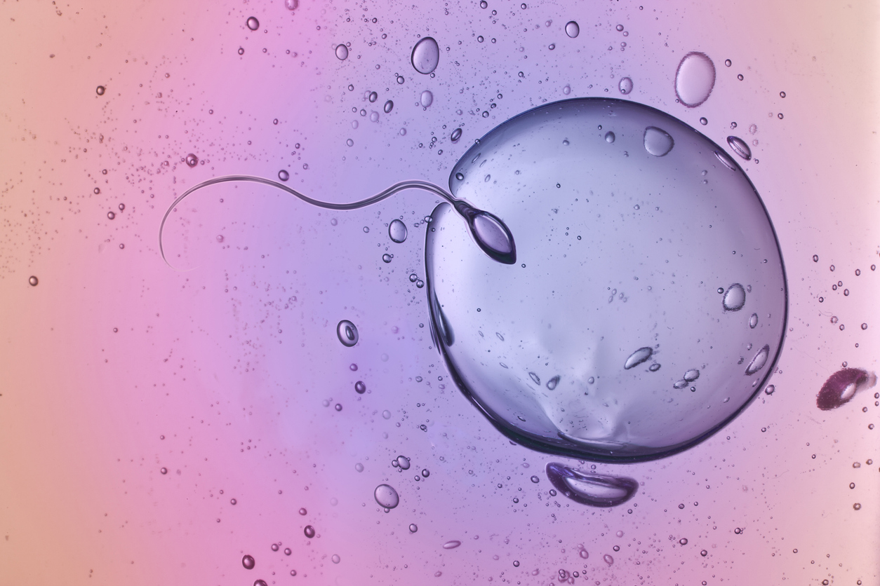 Εξωσωματική γονιμοποίηση: Όλες οι εξελίξεις που φέρνουν επιτυχία