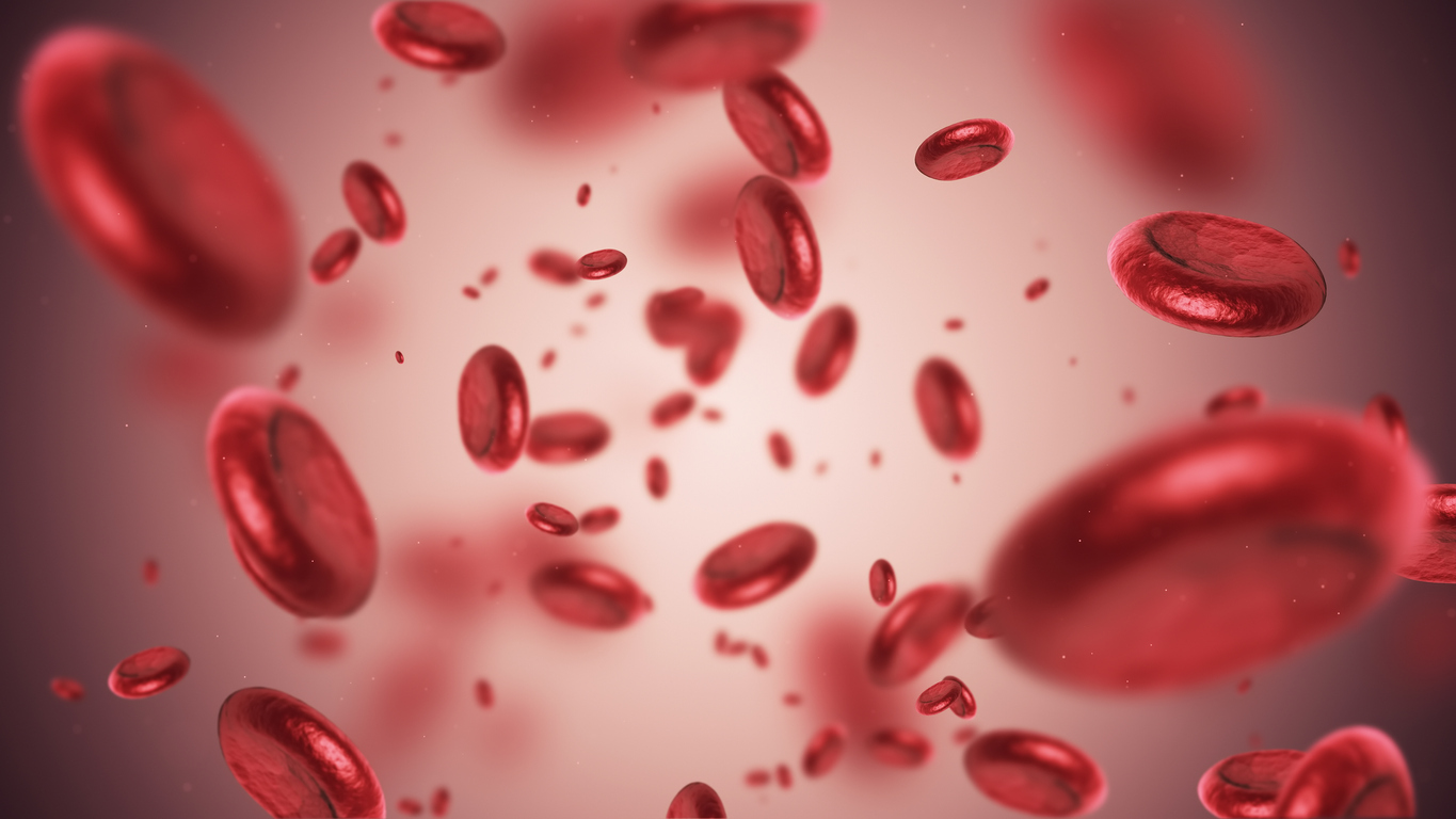 3d render Blood cells (depth of field)