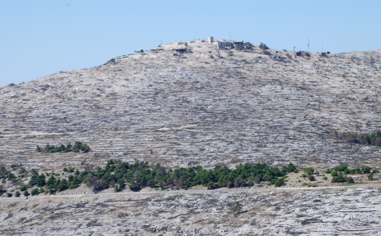 Ευθύμης Λέκκας: «Καμπανάκι» για πλημμύρες στις καμένες εκτάσεις - Οι πρακτικές που δεν έχουν αποδώσει