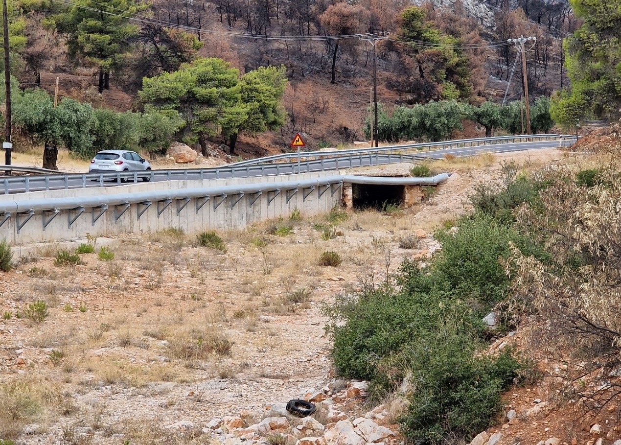 Ευθύμης Λέκκας: «Καμπανάκι» για πλημμύρες στις καμένες εκτάσεις - Οι πρακτικές που δεν έχουν αποδώσει