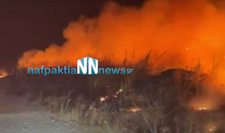 Φωτιά στην Ναυπακτία: Καίγεται περιοχή στον Γαλατά