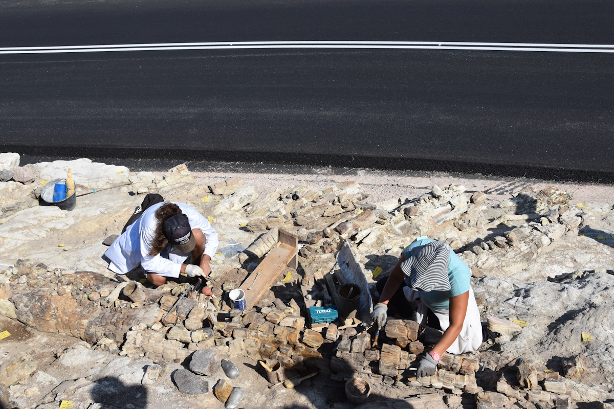 Μυτιλήνη: Άνοιξε για το κοινό το νέο υπαίθριο πάρκο απολιθωμάτων