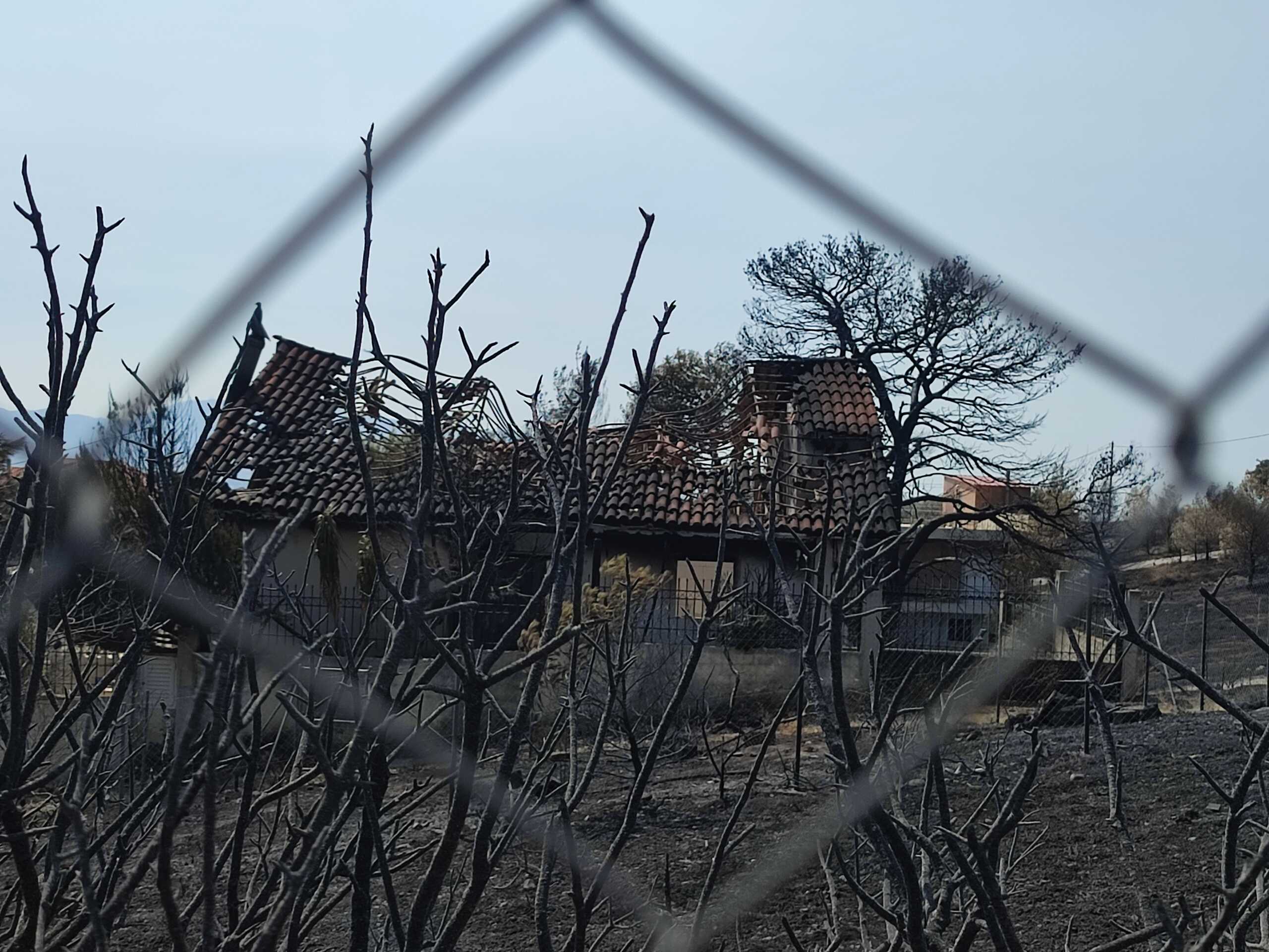 Φωτιά στην Πάρνηθα: Στάχτες δεκάδες περιουσίες στην Αγία Παρασκευή – Πέρασαν από 25 σπίτια οι φλόγες