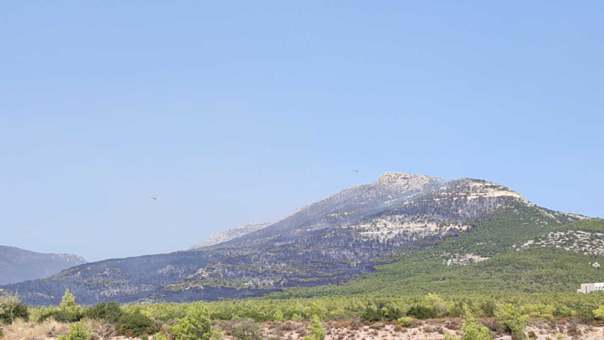 Φωτιά στην Πάρνηθα: Καλύτερη εικόνα, μάχη με τις αναζωπυρώσεις – Τεράστιο το μέγεθος της καταστροφής