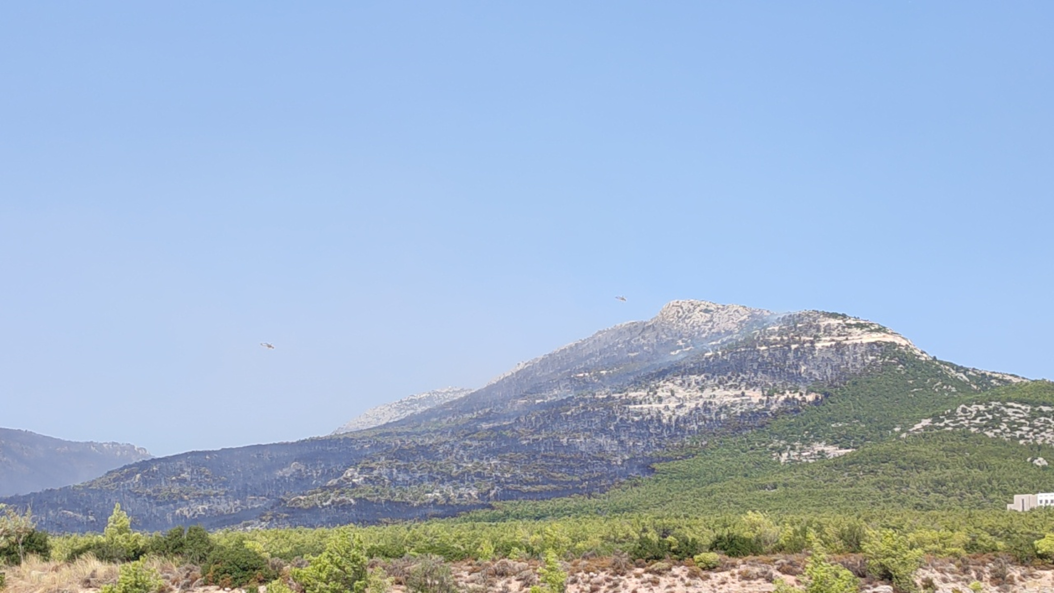 Φωτιά στην Πάρνηθα: Καλύτερη εικόνα, μάχη με τις αναζωπυρώσεις – Τεράστιο το μέγεθος της καταστροφής