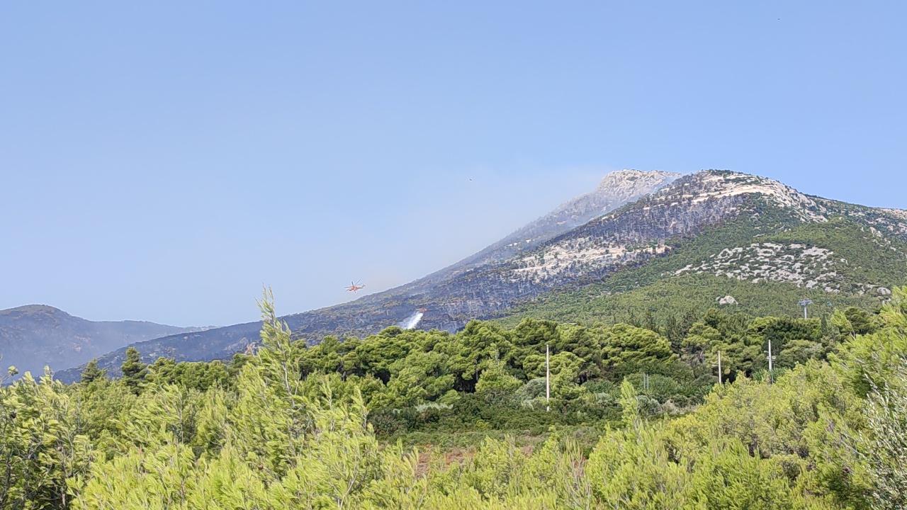 Πάρνηθα: Επτά απόπειρες εμπρησμού μέσα σε δύο ώρες σήμερα το πρωί - Βελτιωμένη η εικόνα στο πύρινο μέτωπο