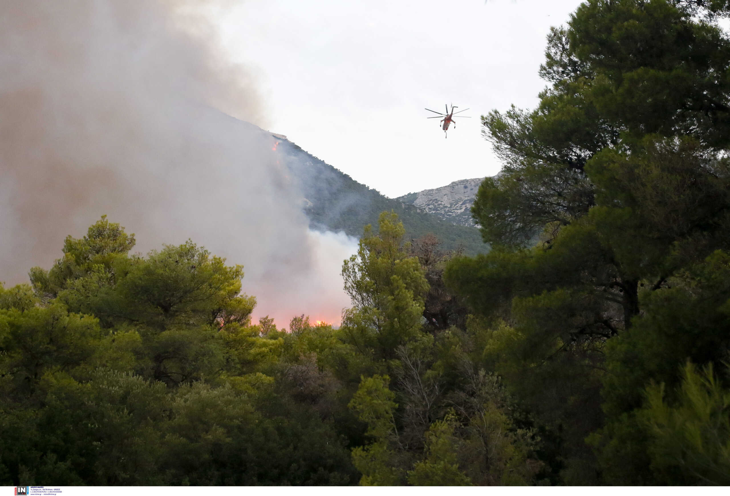 Φωτιά στην Πάρνηθα: Μάχη να μη φτάσει στους Θρακομακεδόνες και στην «καρδιά» του Εθνικού Δρυμού