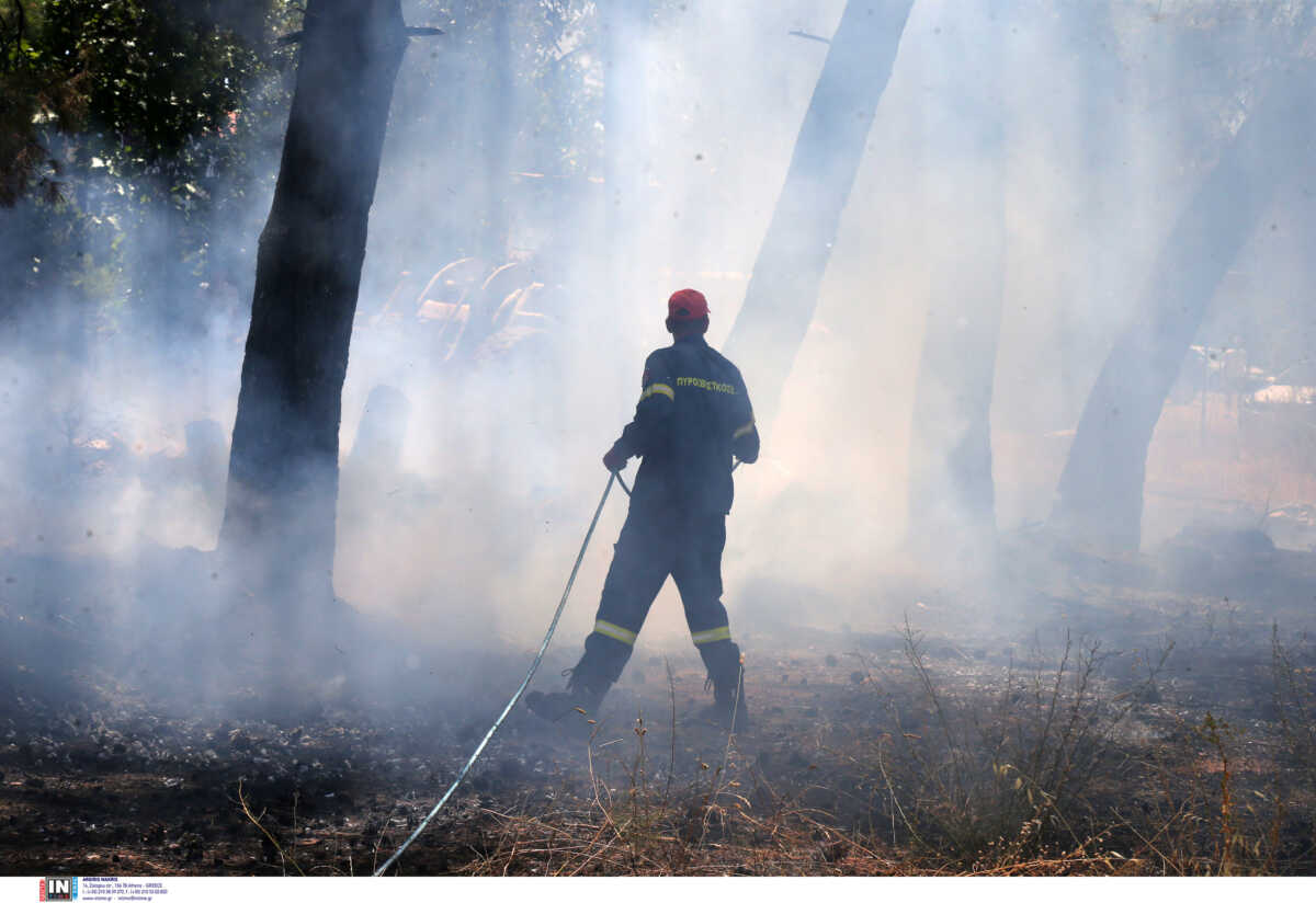 Φωτιά στα Μέγαρα – Επιχειρούν επίγειες και εναέριες δυνάμεις