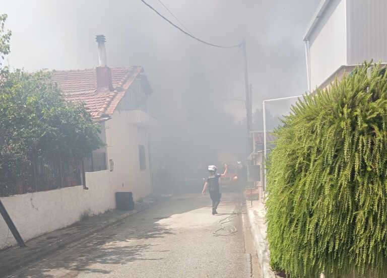Φωτιά στη Μαγνησία: Μήνυμα από το 112 για εκκένωση του οικισμού Άσπρες Πεταλούδες
