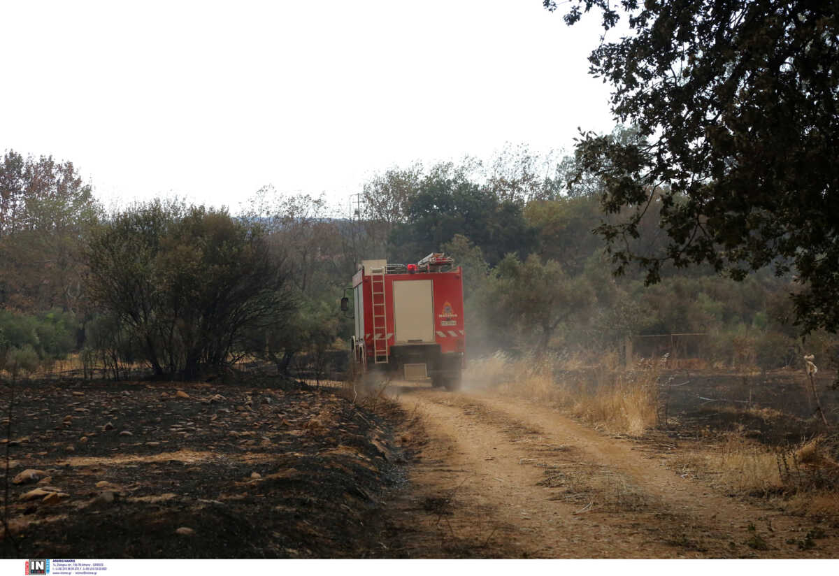 Φωτιά στα Φάρσαλα – Καίγεται δάσος στο Τσικράκι