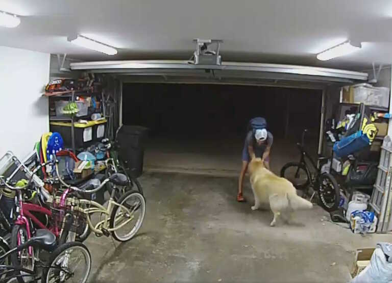 Θέλησε να κλέψει ποδήλατο και δέχτηκε «επίθεση αγάπης» από τον σκύλο της οικογένειας